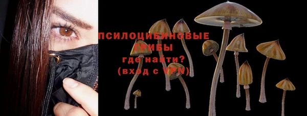 мескалин Няндома