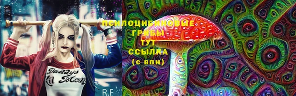 соль ск Нягань