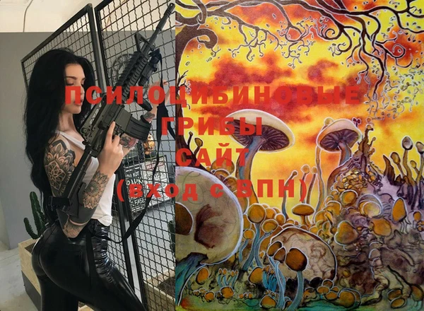 марки lsd Новодвинск