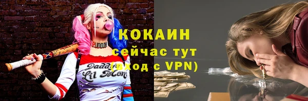 марки lsd Новозыбков