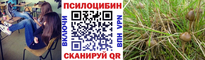 где купить наркотик  Кемь  даркнет клад  Галлюциногенные грибы мухоморы 